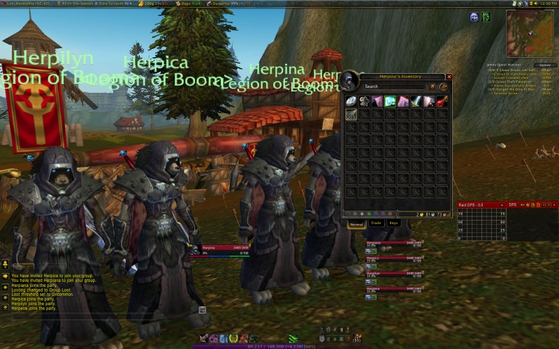 File:WoW-Herpinas Bags.jpg
